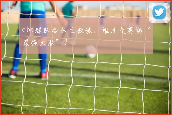 cba球队各队主教练，谁才是赛场“最强大脑”？