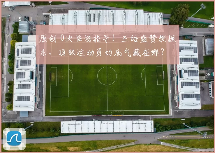 原创 0次临场指导！王皓盛赞樊振东，顶级运动员的底气藏在哪？