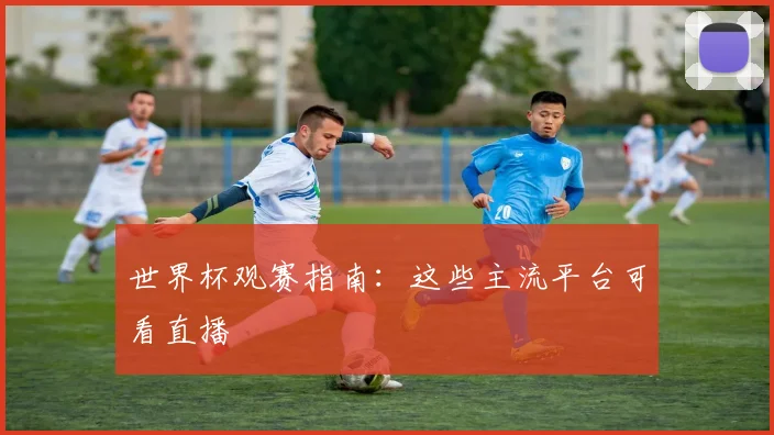 世界杯观赛指南:这些主流平台可看直播