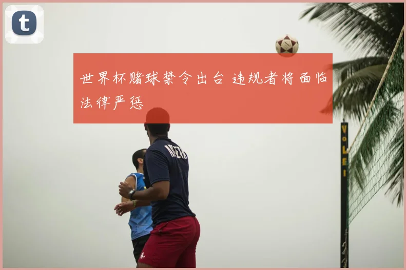 世界杯赌球禁令出台 违规者将面临法律严惩
