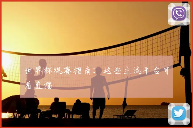 世界杯观赛指南:这些主流平台可看直播